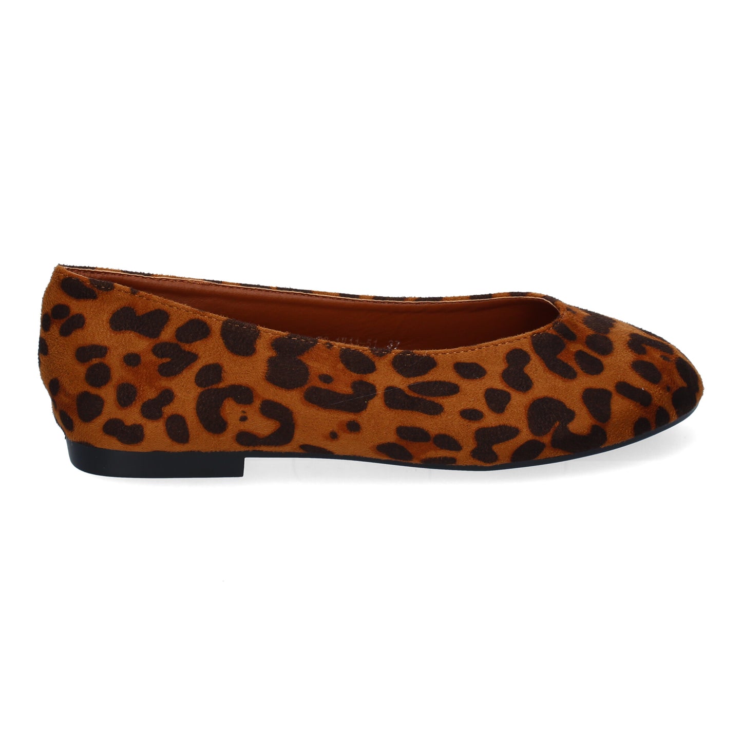 1U11-Leopardo